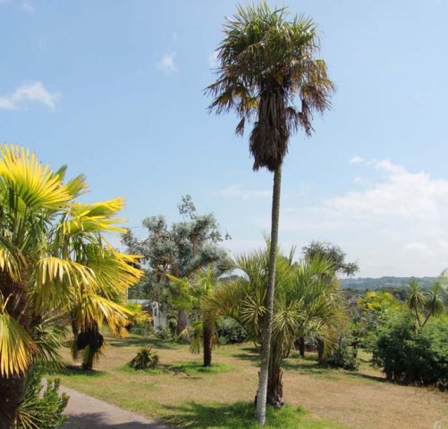 Nos emplacements
